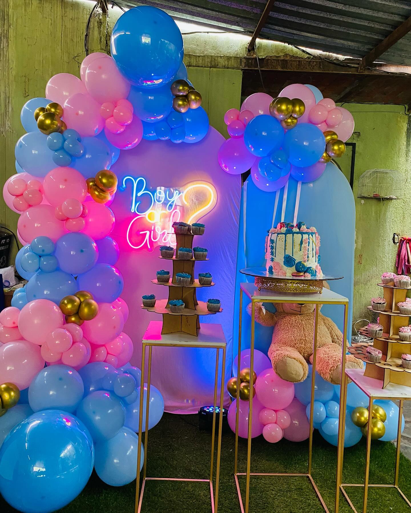Baby Shower & Revelación de Género